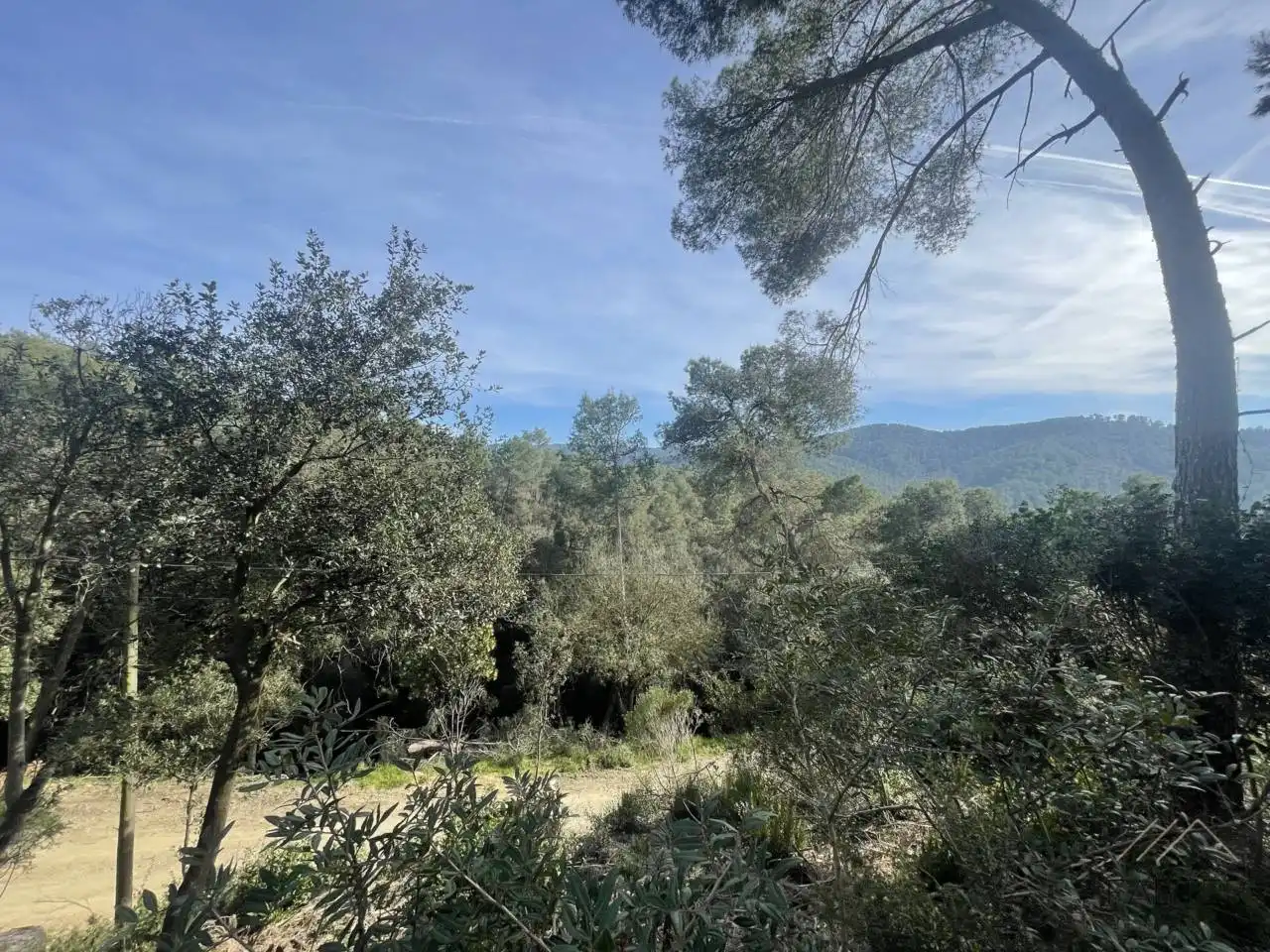 Rural land for sale in Avenida Modolell, imagen 7