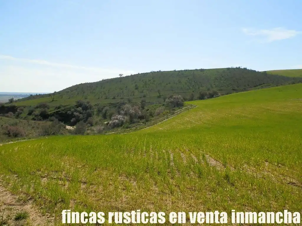 Terreno rustico in vendita a Casco Histórico, imagen 15