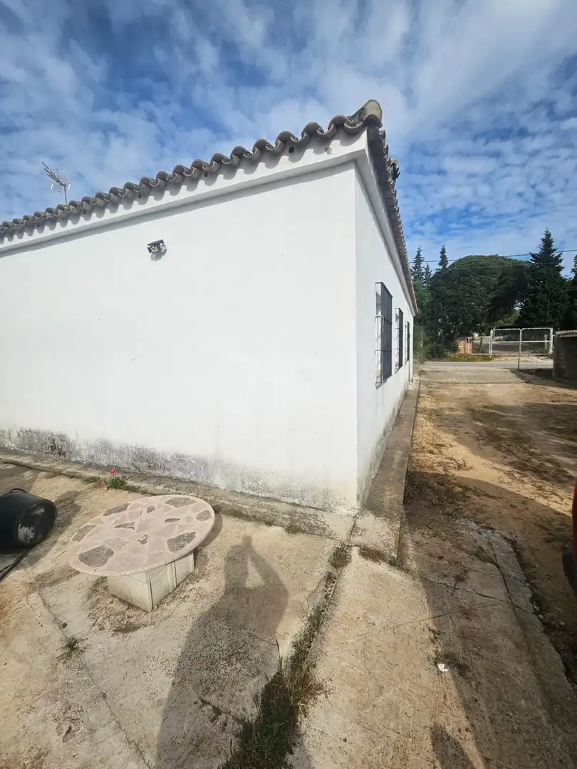 Vista exterior de Finca rústica en venda en Vejer de la Frontera amb Jardí privat i Piscina