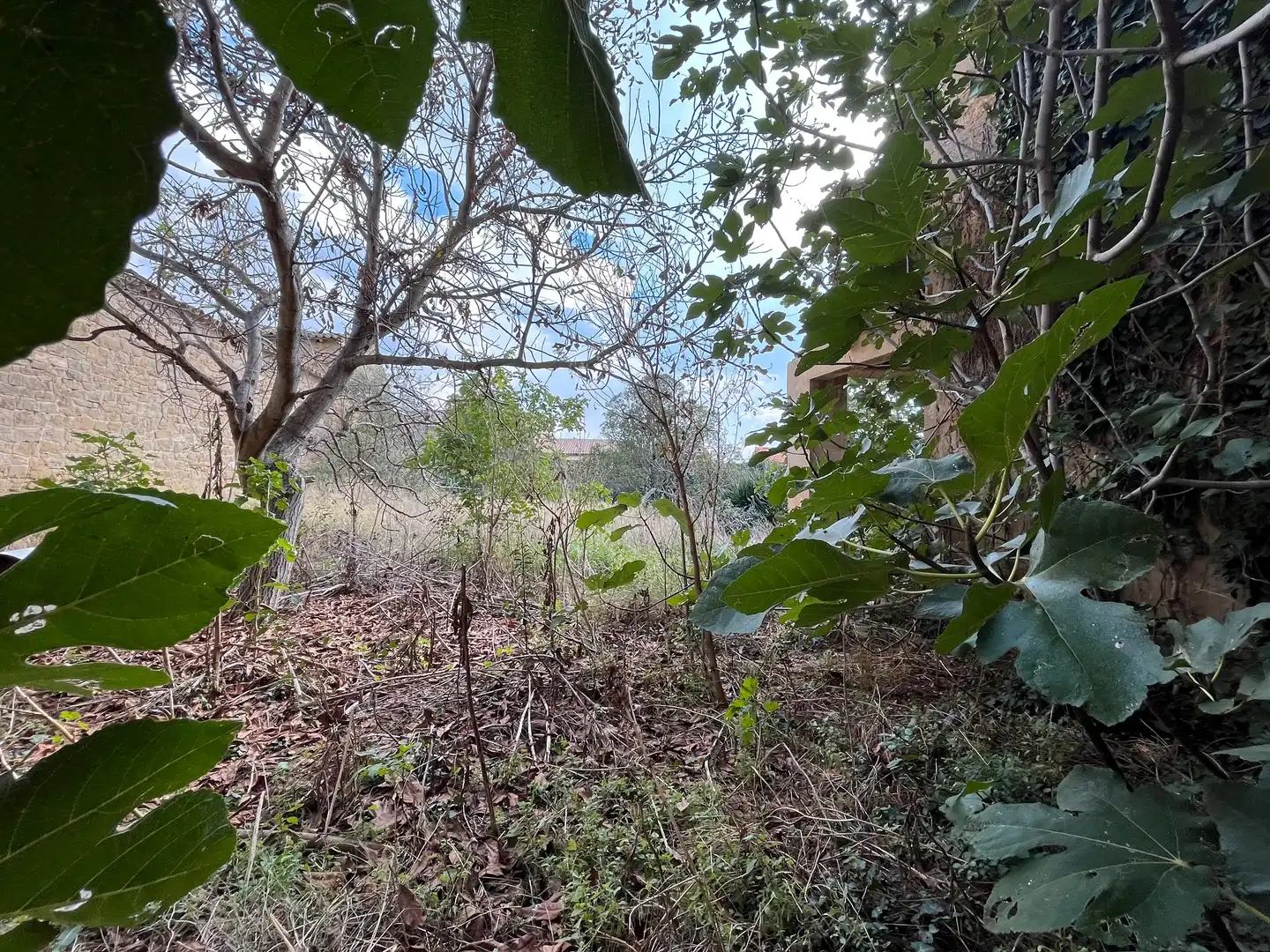 Casa o xalet en venda en Murillo El Cuende amb Jardí privat i Balcó