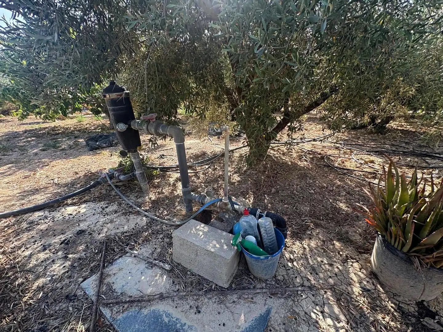 Jardín de Terreno en venta en Totana