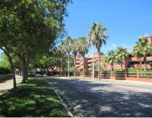 Exterior view of Garage for sale in Rota