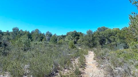Photo 2 of Residential for sale in Carrratillana, Roques Daurades - L'Estany, Tarragona