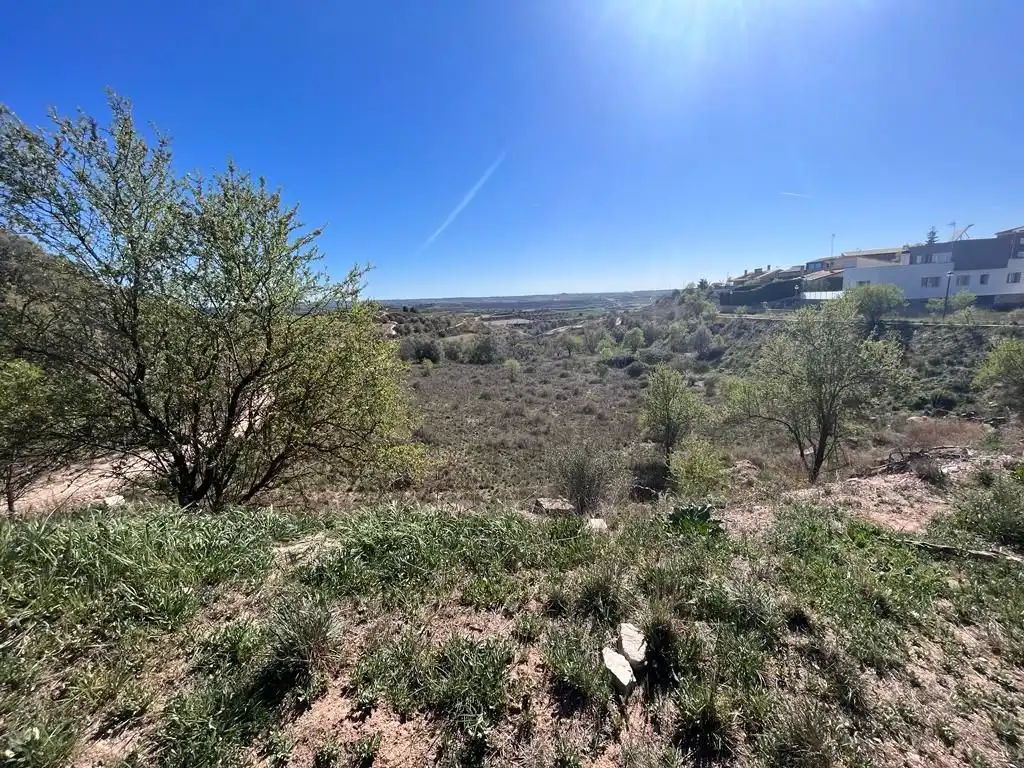 Terreno rústico en venta en Avinguda Camí de les Forques 18