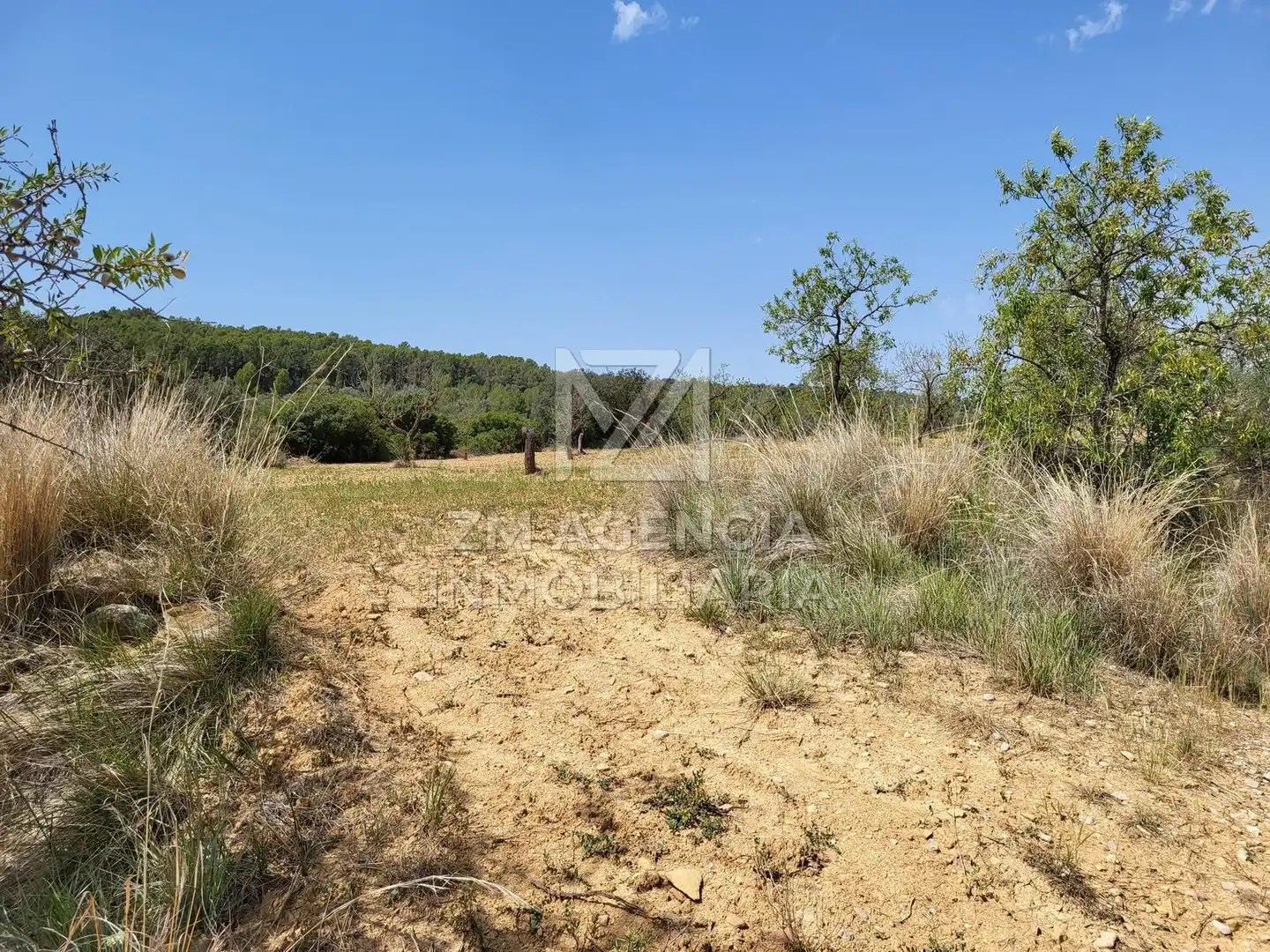 Terreno rustico in vendita a Traiguera, imagen 5