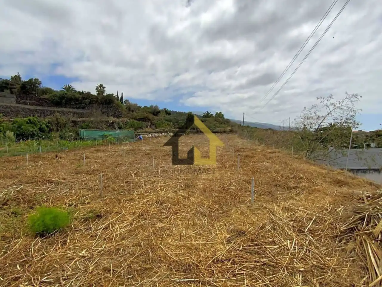 Rural land for sale in Camino La Palma 20, imagen 19