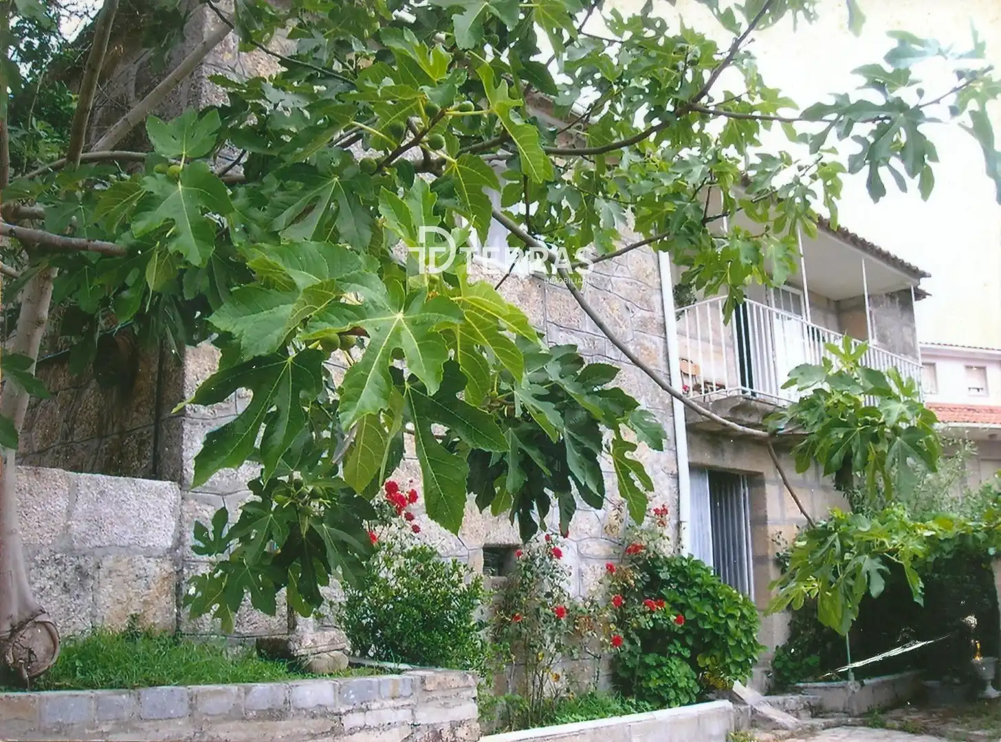 Vista exterior de Casa o chalet en venta en Ponte Caldelas con Jardín privado