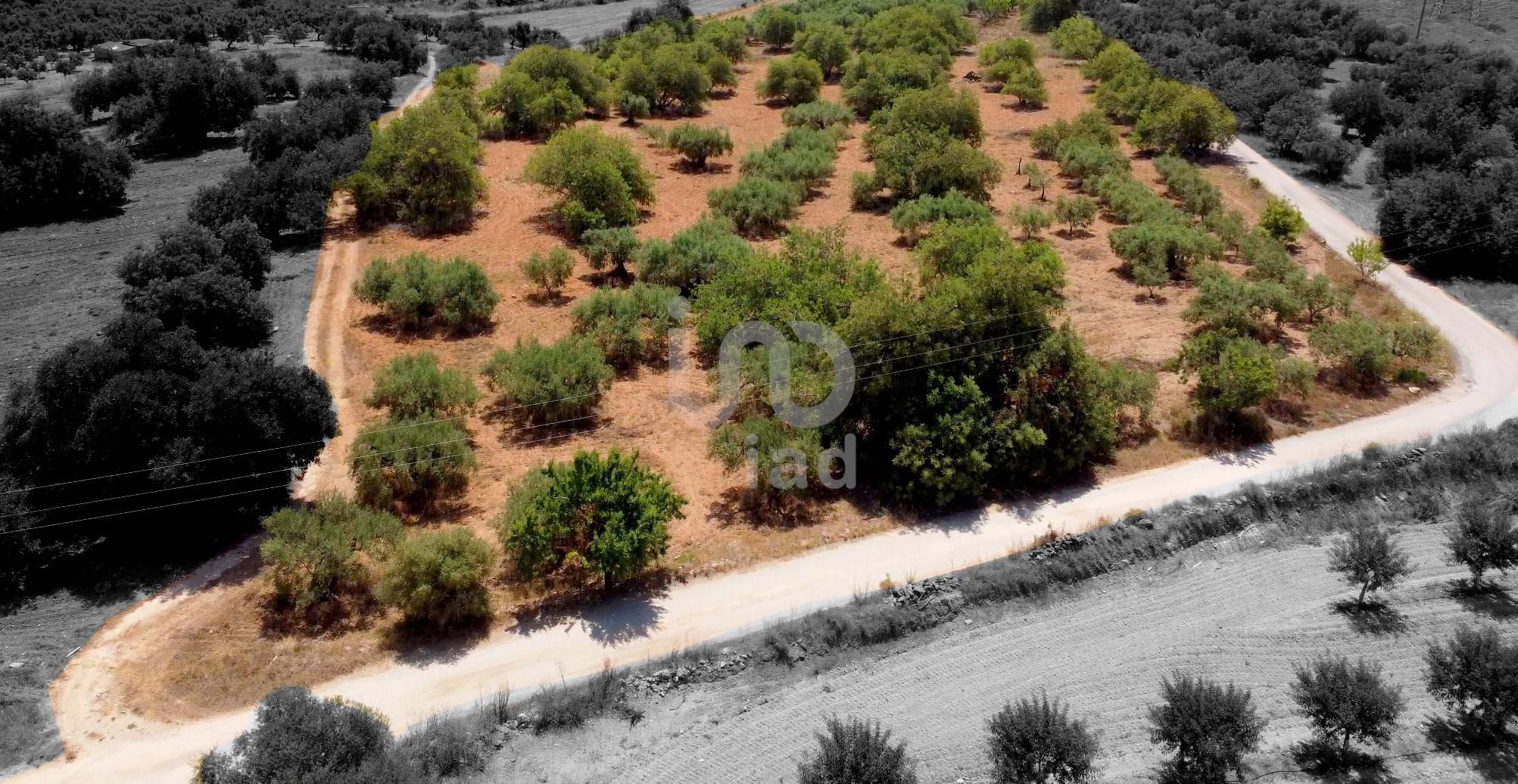 Residential for sale in Alcover