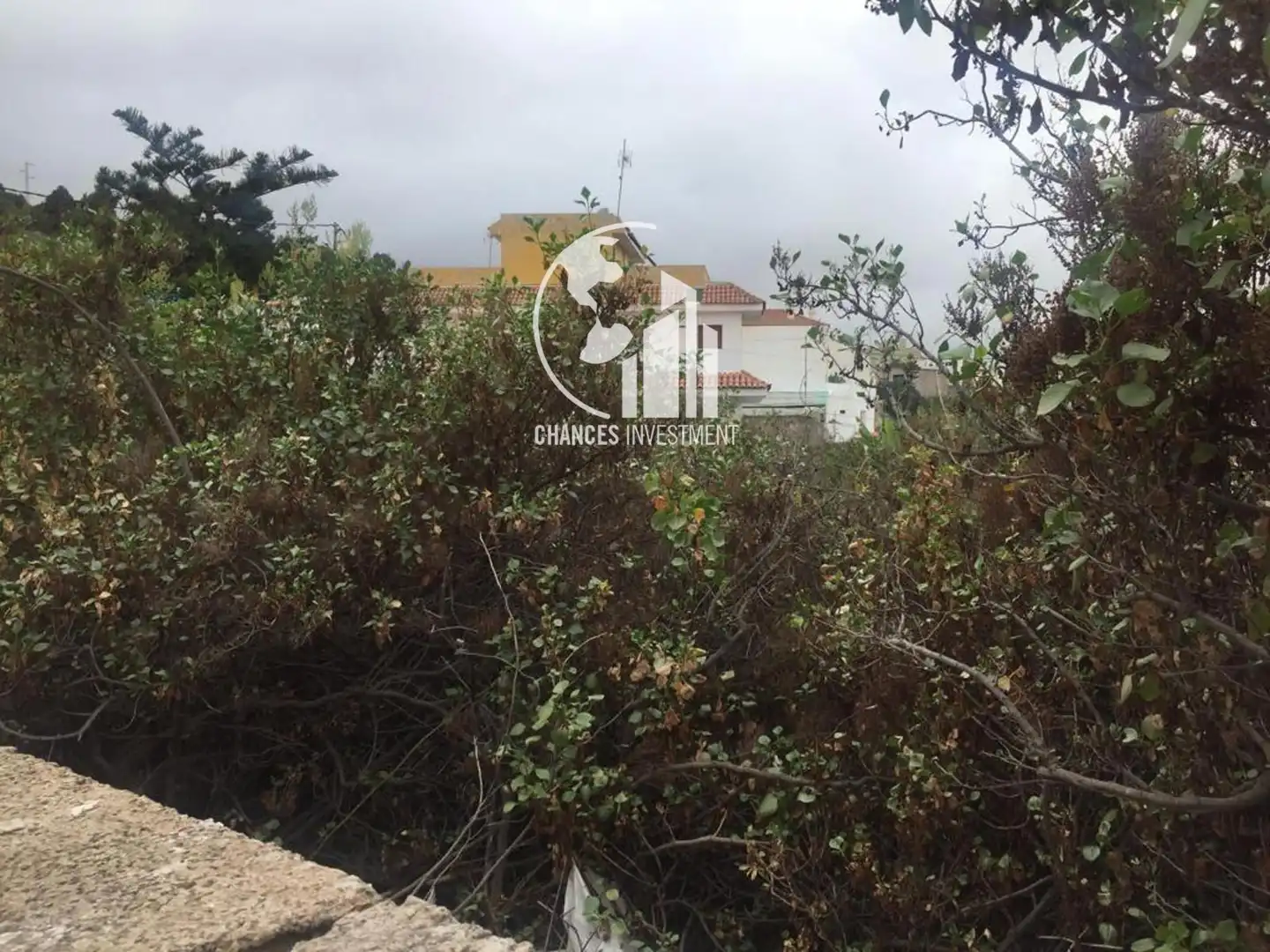 Terreny en venda en Icod de los Vinos