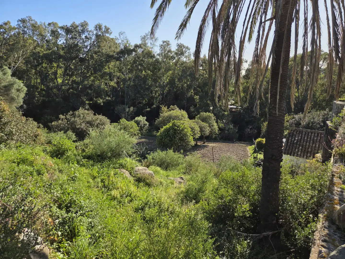 Country homes for sale in Tarifa ciudad