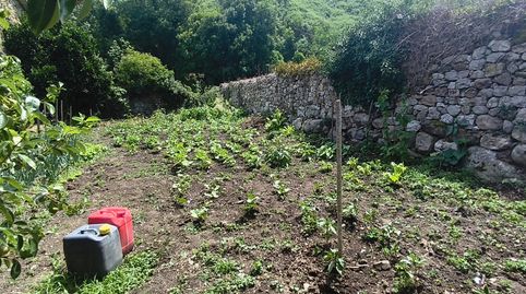 FINCA URBANA EN QUINTANILLA LAMASON, immagine 3