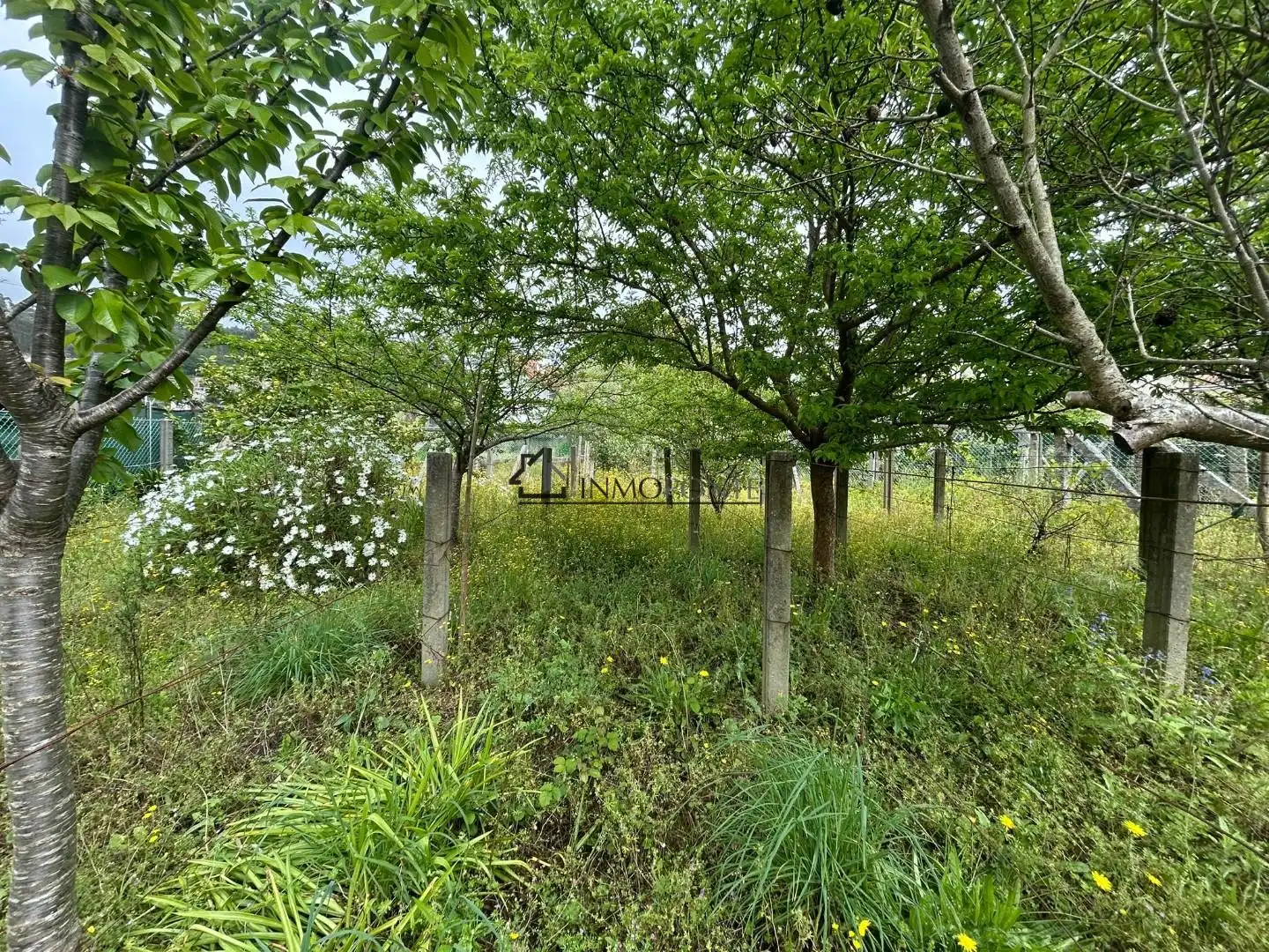 Casa o xalet en venda en Poio amb Calefacció, Jardí privat i Terrassa