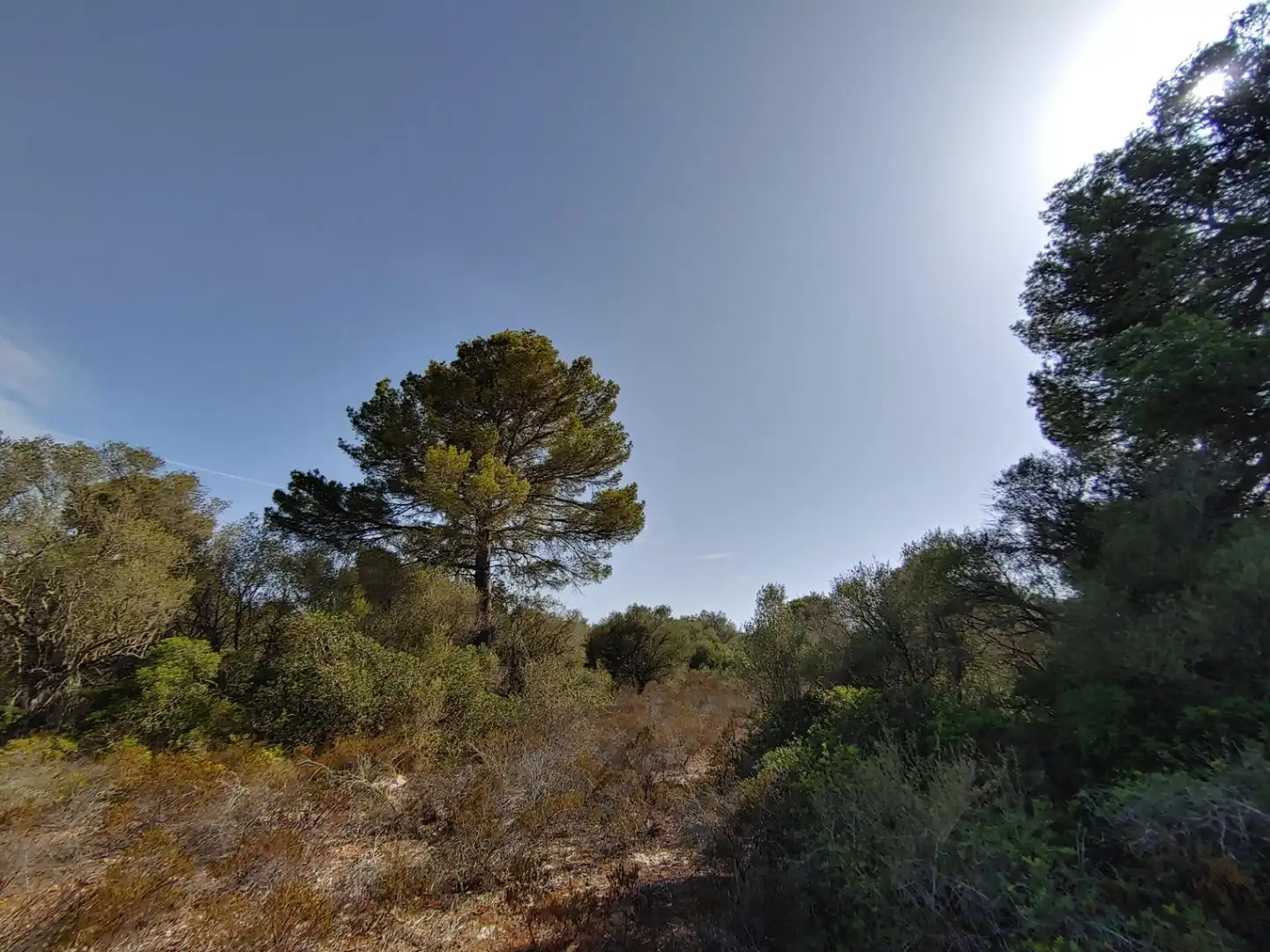 Residencial en venta en Polígono Parcela 12, Cala Pi - Vallgornera
