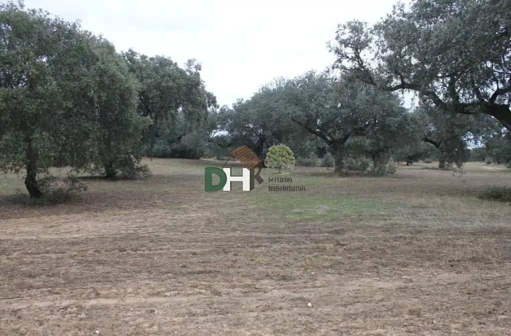 Terreni e lotti in vendita a San Roque - Ronda Norte, imagen 7
