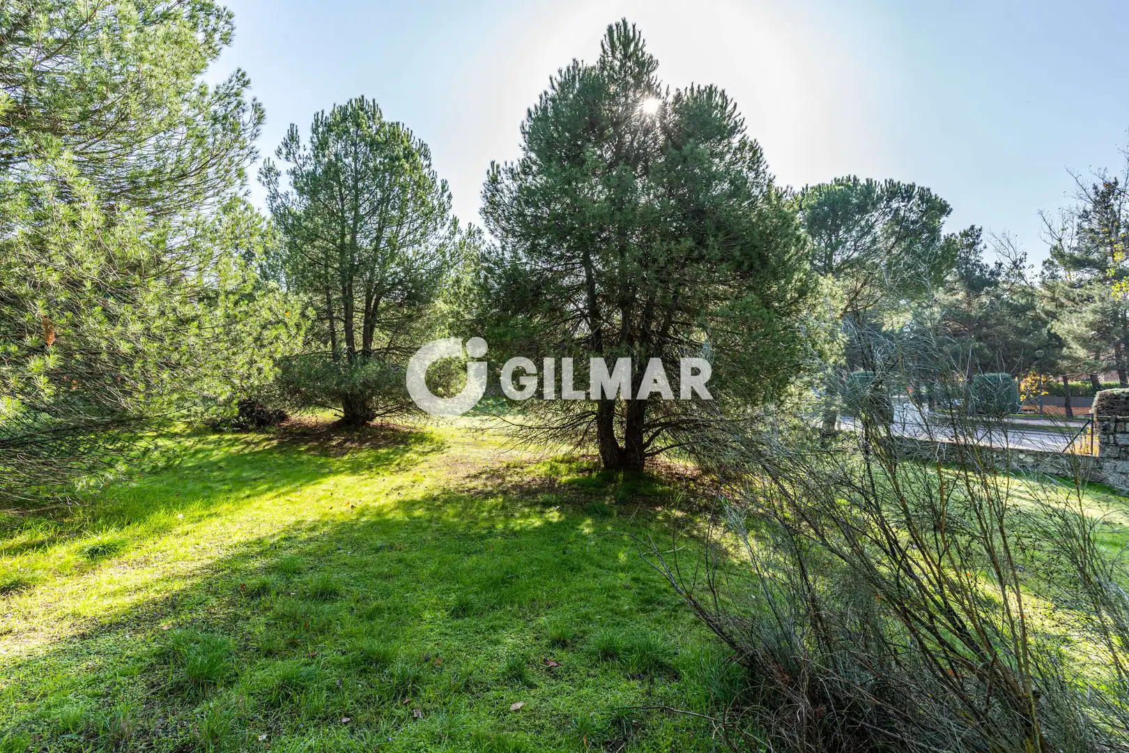 Casa o xalet en venda en Monte Rozas