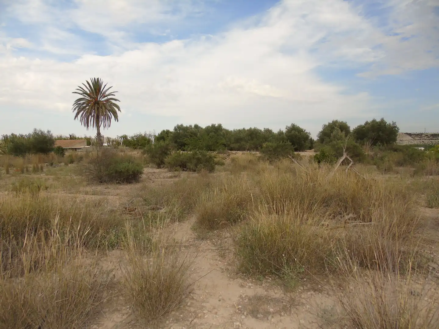 Terrain résidentiel à vendre à Ulea, imagen 2