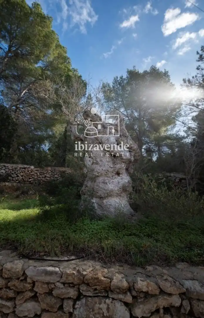 Casa amb piscina en venda a Santa Eulali, imagen 31