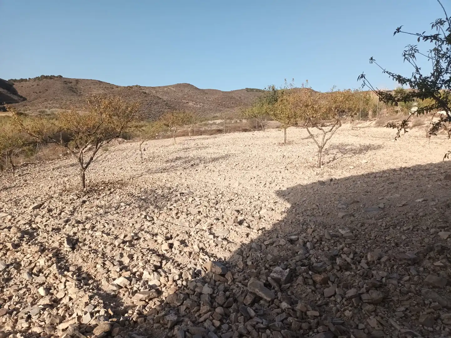 Terreno rustico in vendita a Lugar las Barrenas 6, imagen 26