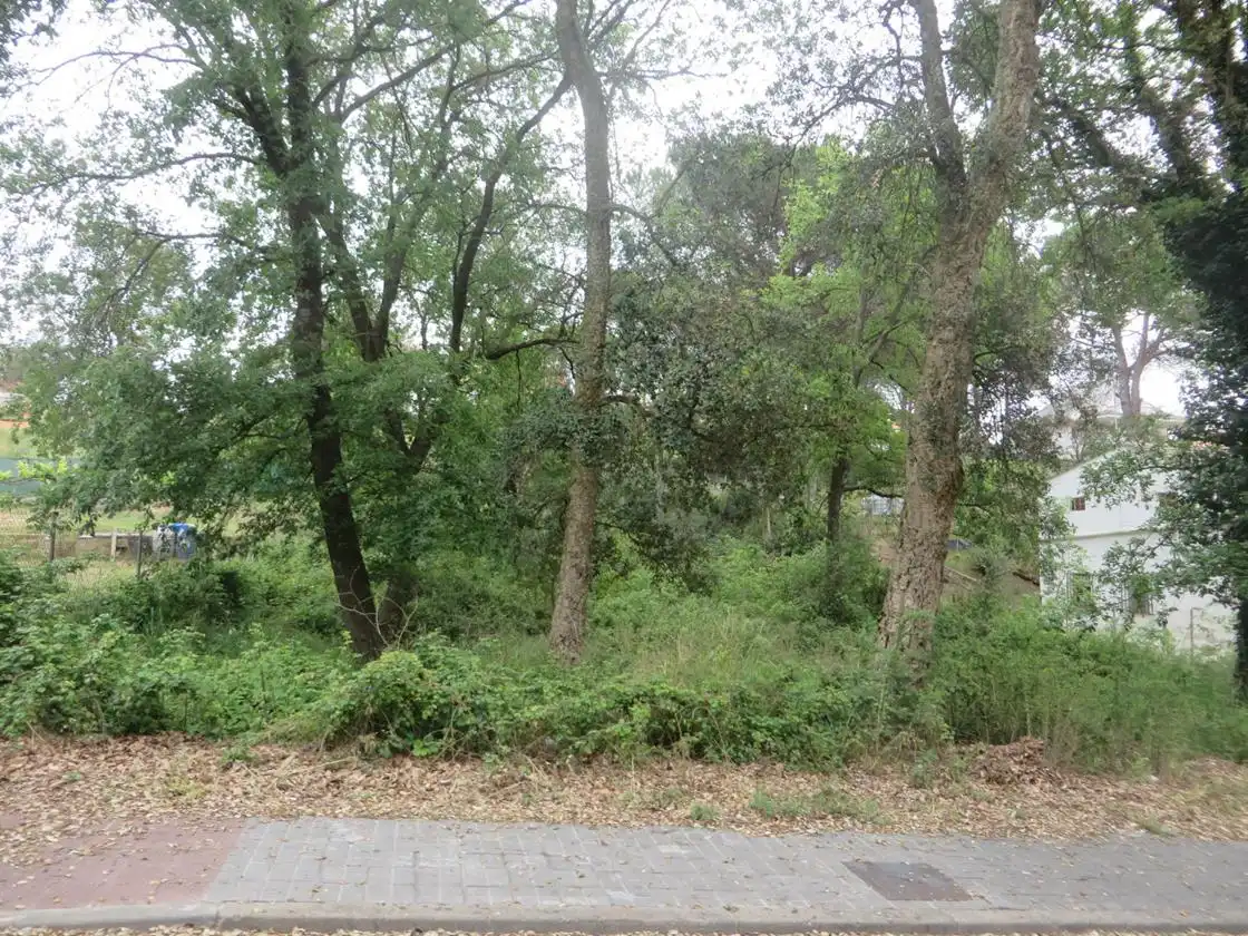 Terrain résidentiel à vendre à Carrer de l'Acàcia, imagen 2