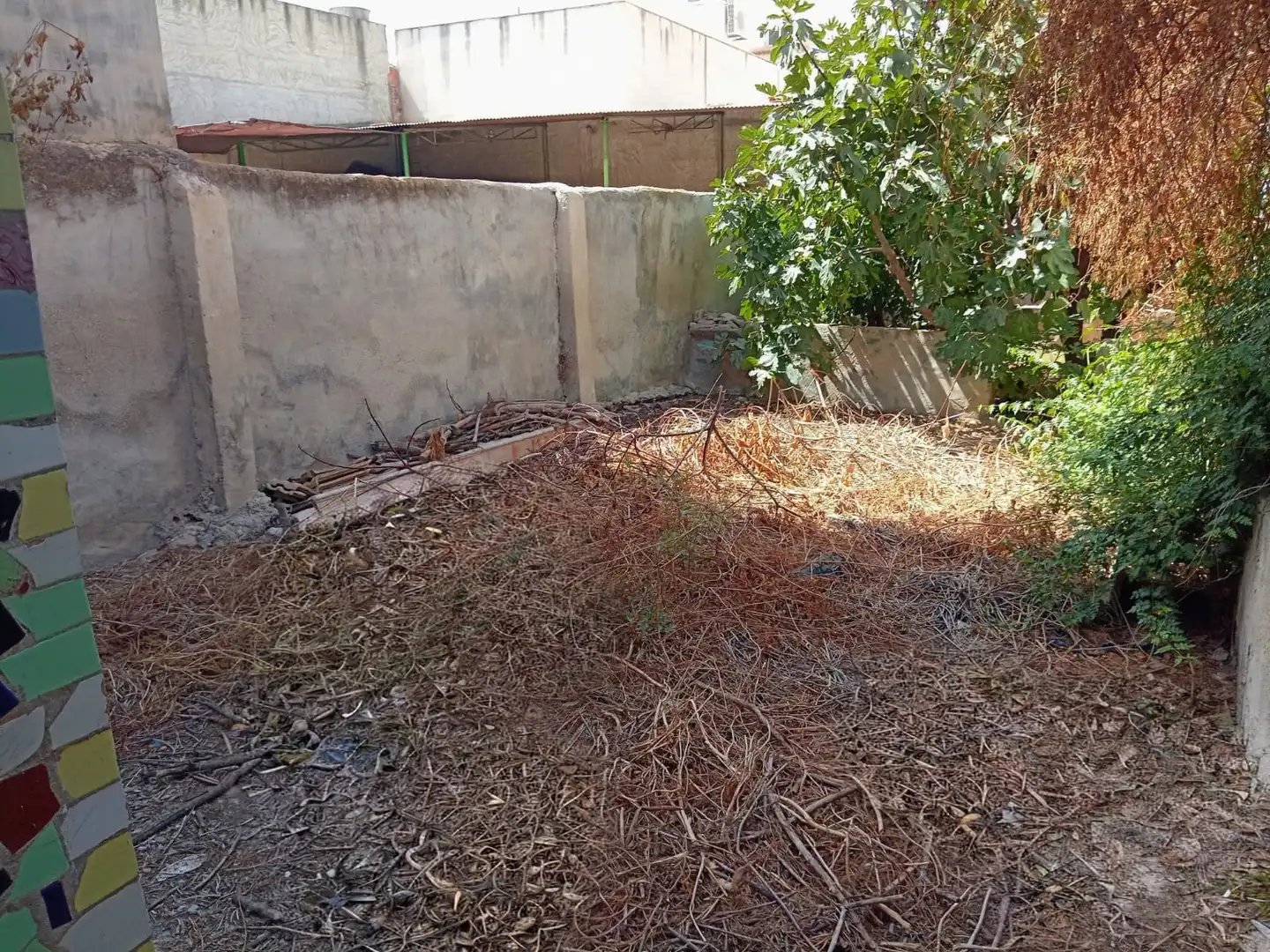 House with garden for sale in Pedanías Oeste, imagen 12