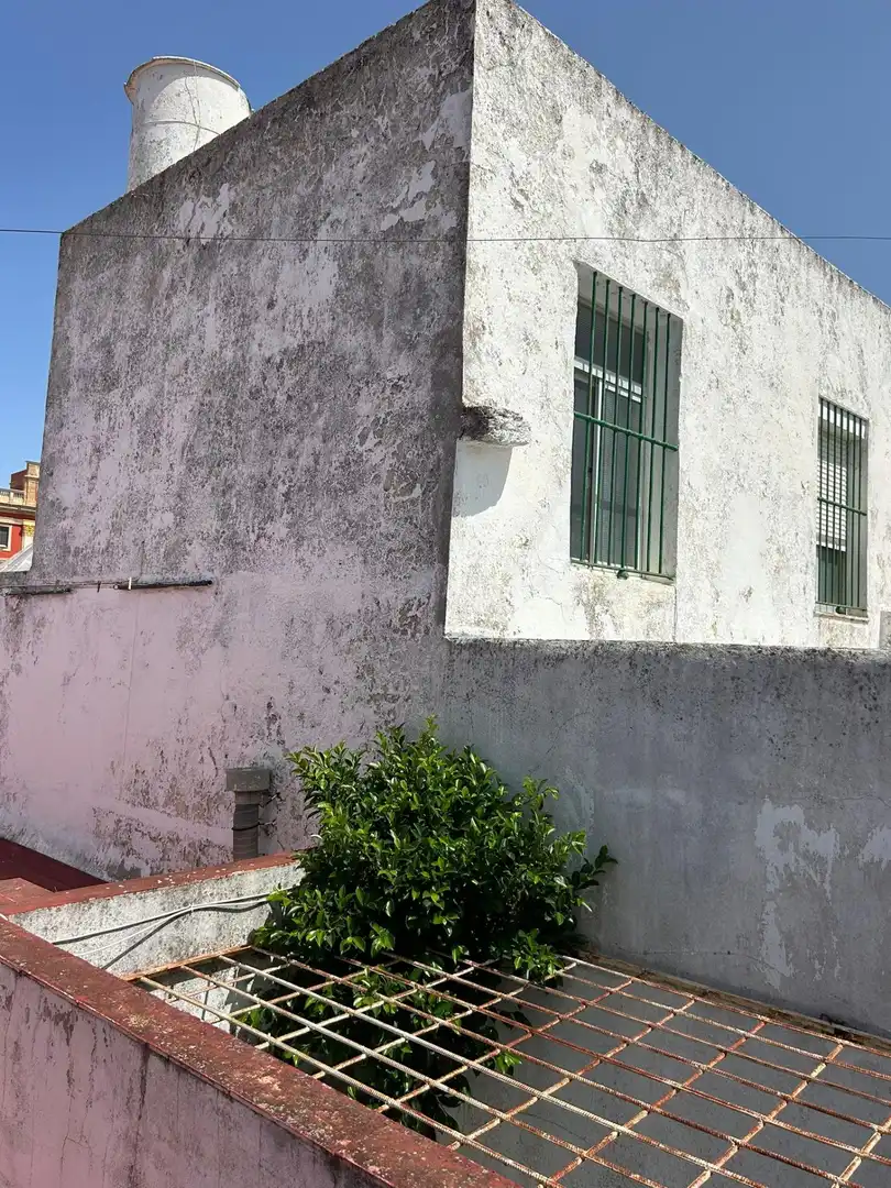 Exterior view of Houses for sale in San Fernando