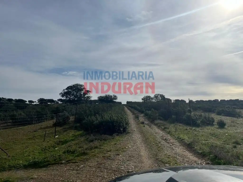 Finca rústica en venda en Puerto de San Vicente
