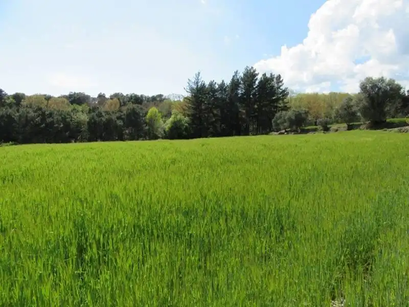Country homes for sale in Fogars de Montclús  with Private garden and Storage room