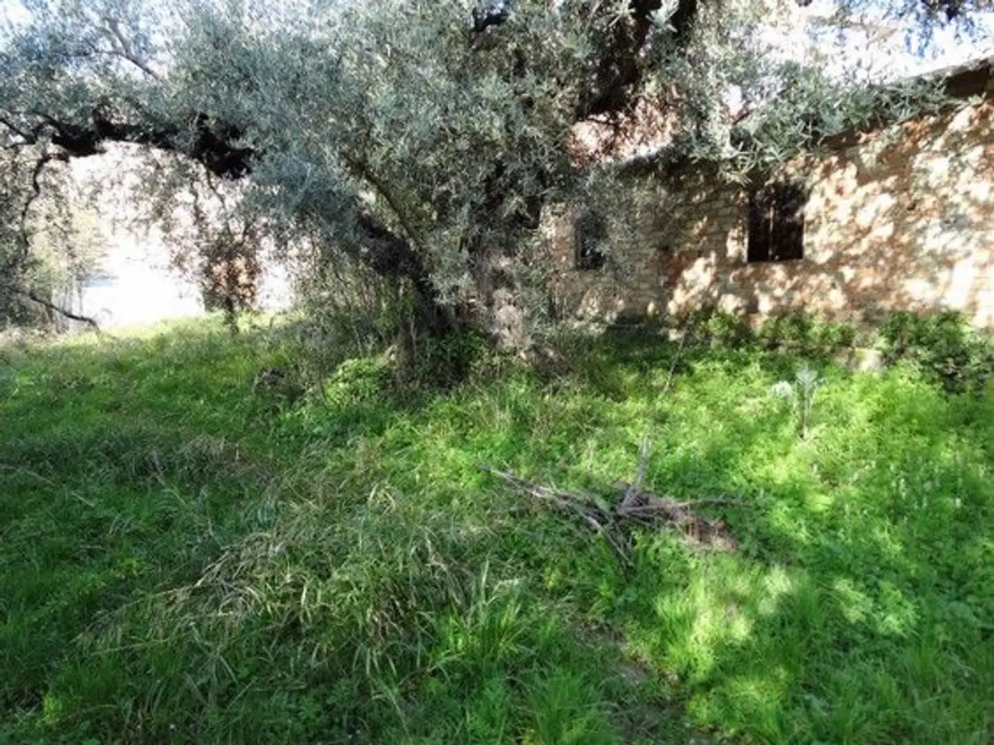 Immobili singolari in vendita a Moratalla, imagen 12