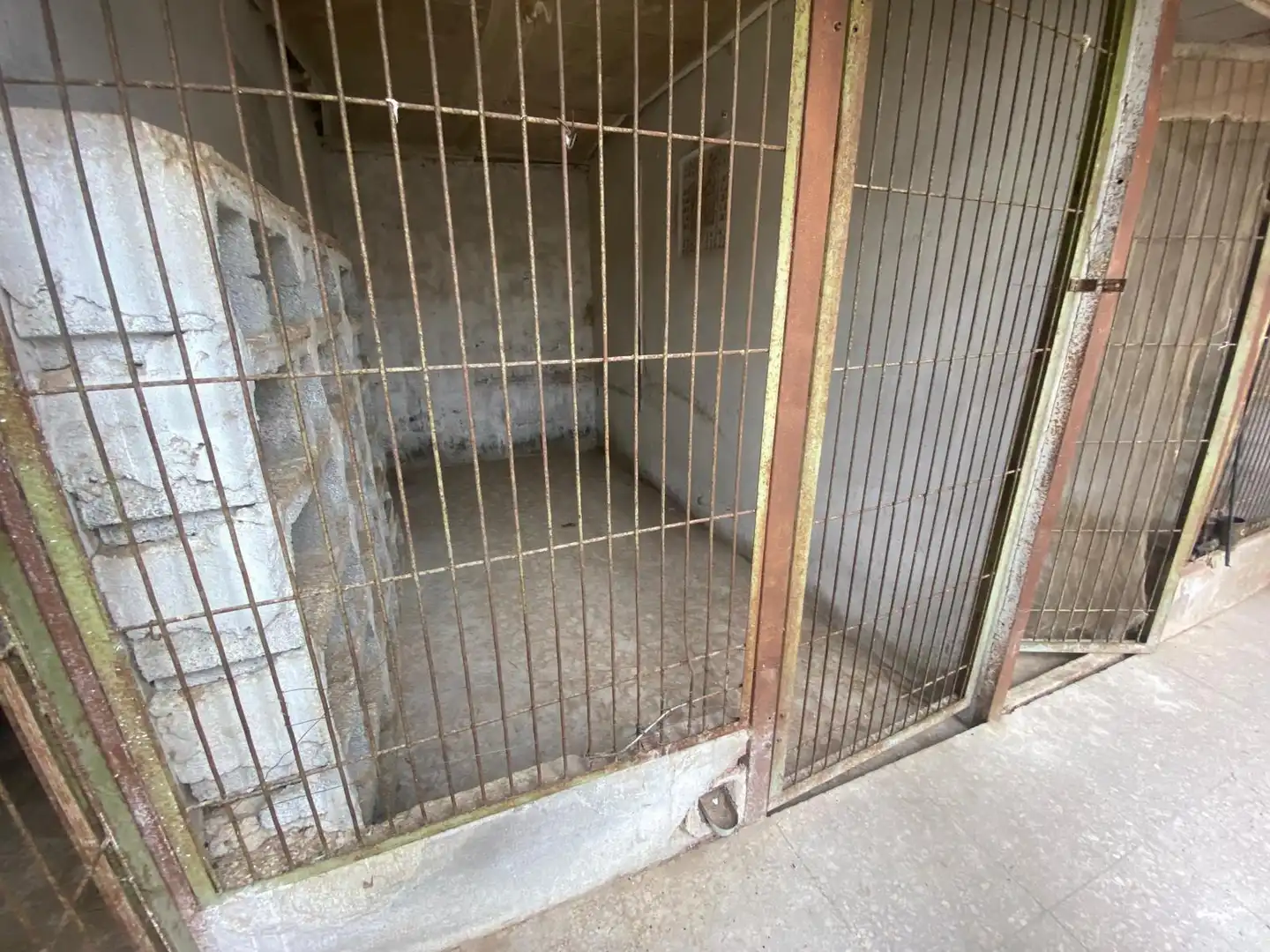 Maison rustique à vendre à El Palomar, imagen 28