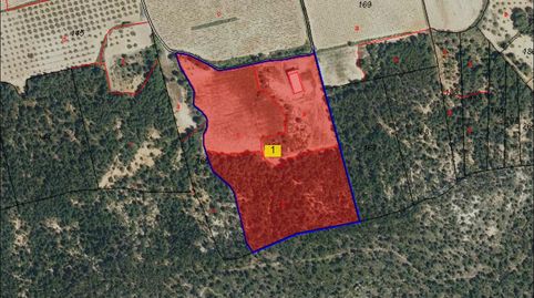 Solvia Inmobiliaria  Nave Industrial Requena, imatge 2