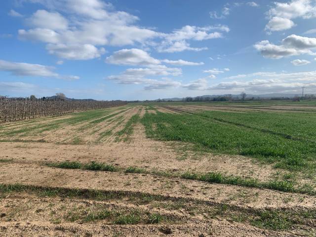 Terreno en Venta en N/A, -1 en Fontanilles