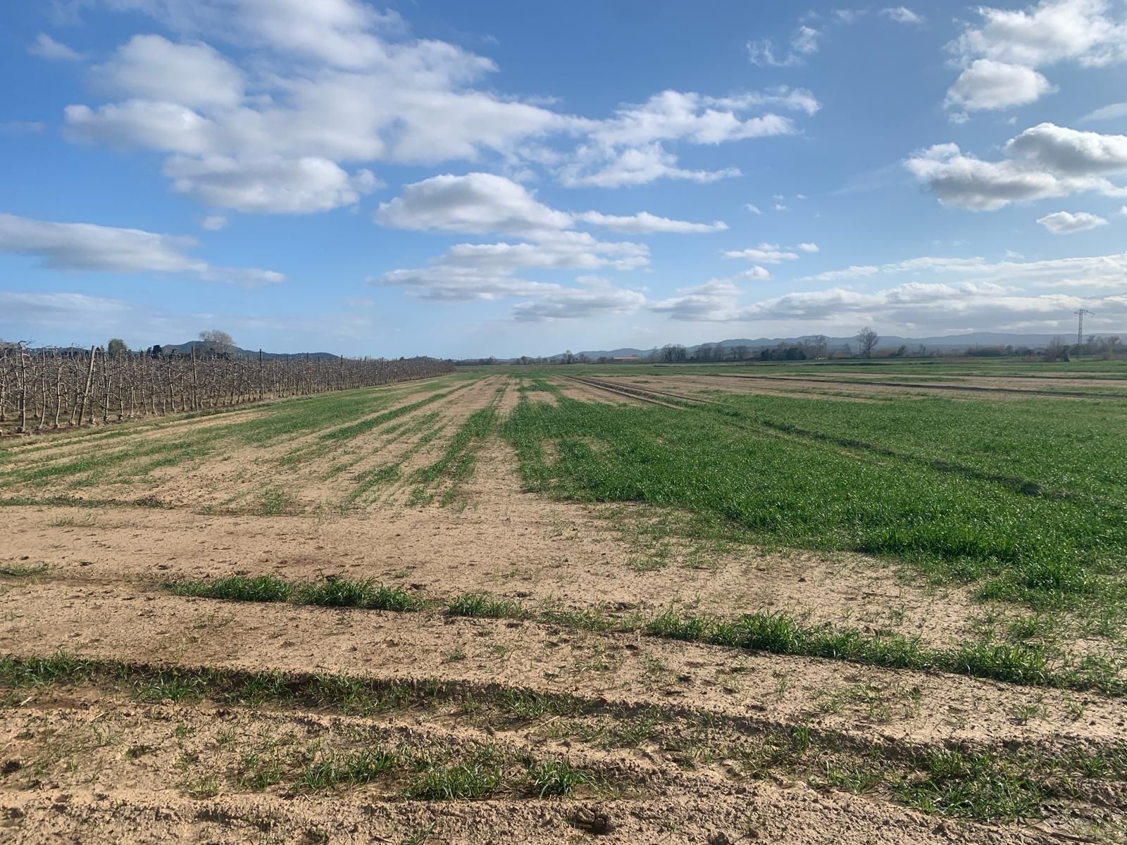 Land for sale in N/A, -1, Fontanilles