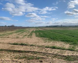 Land for sale in N/A, -1, Fontanilles