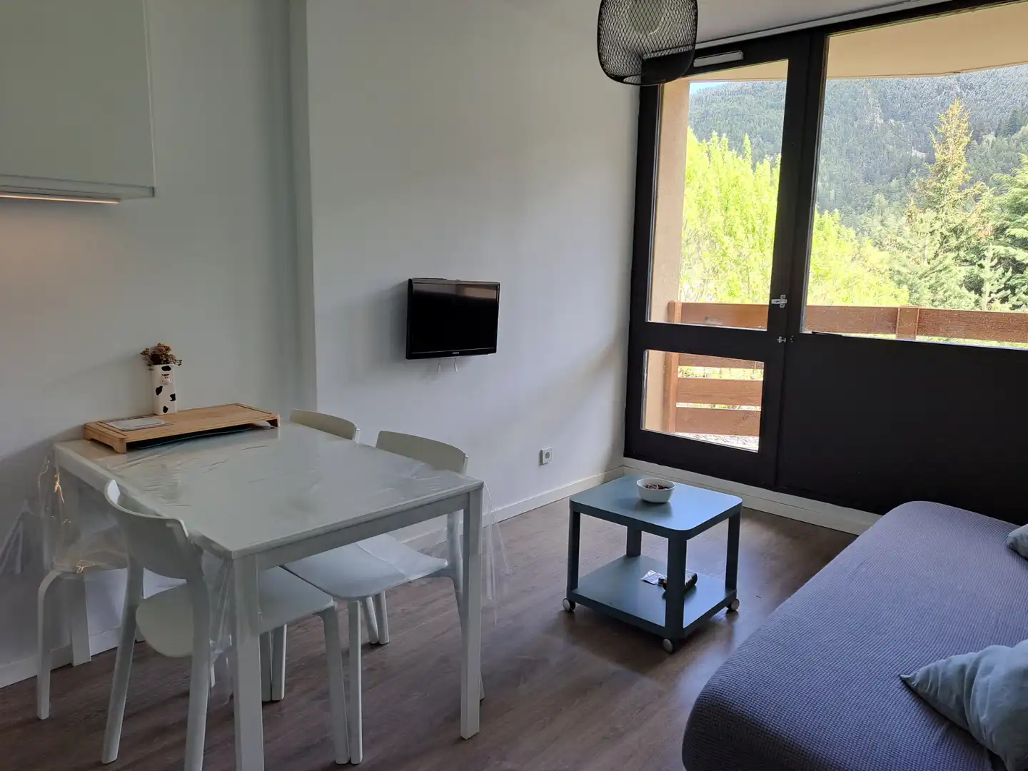 Sala d'estar de Apartament en venda en Saint - Pierre - dels - Forcats amb Terrassa i Moblat