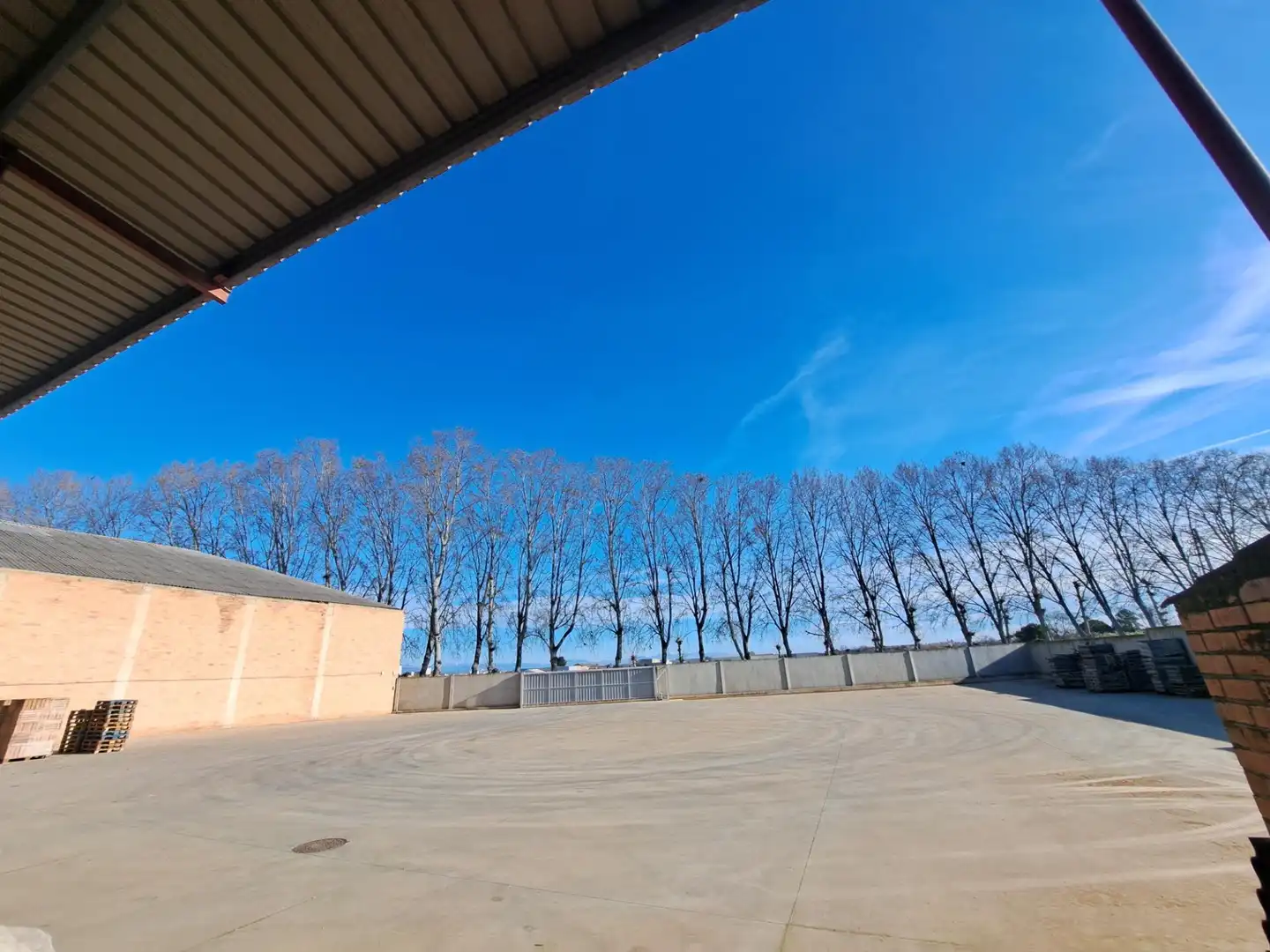 Exterior view of Industrial buildings for sale in Mollerussa