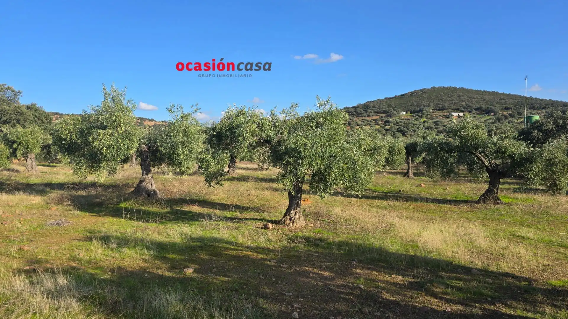 Wohnbaugrundstück zum Verkauf in La Granjuela, imagen 24