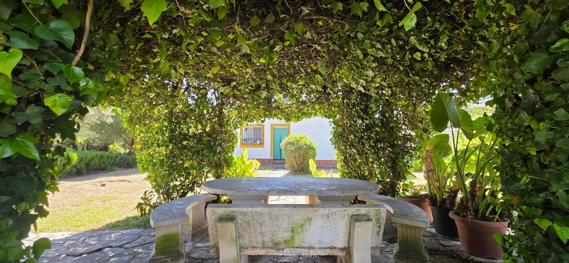 Jardín de Casa o chalet en venta en Chiclana de la Frontera