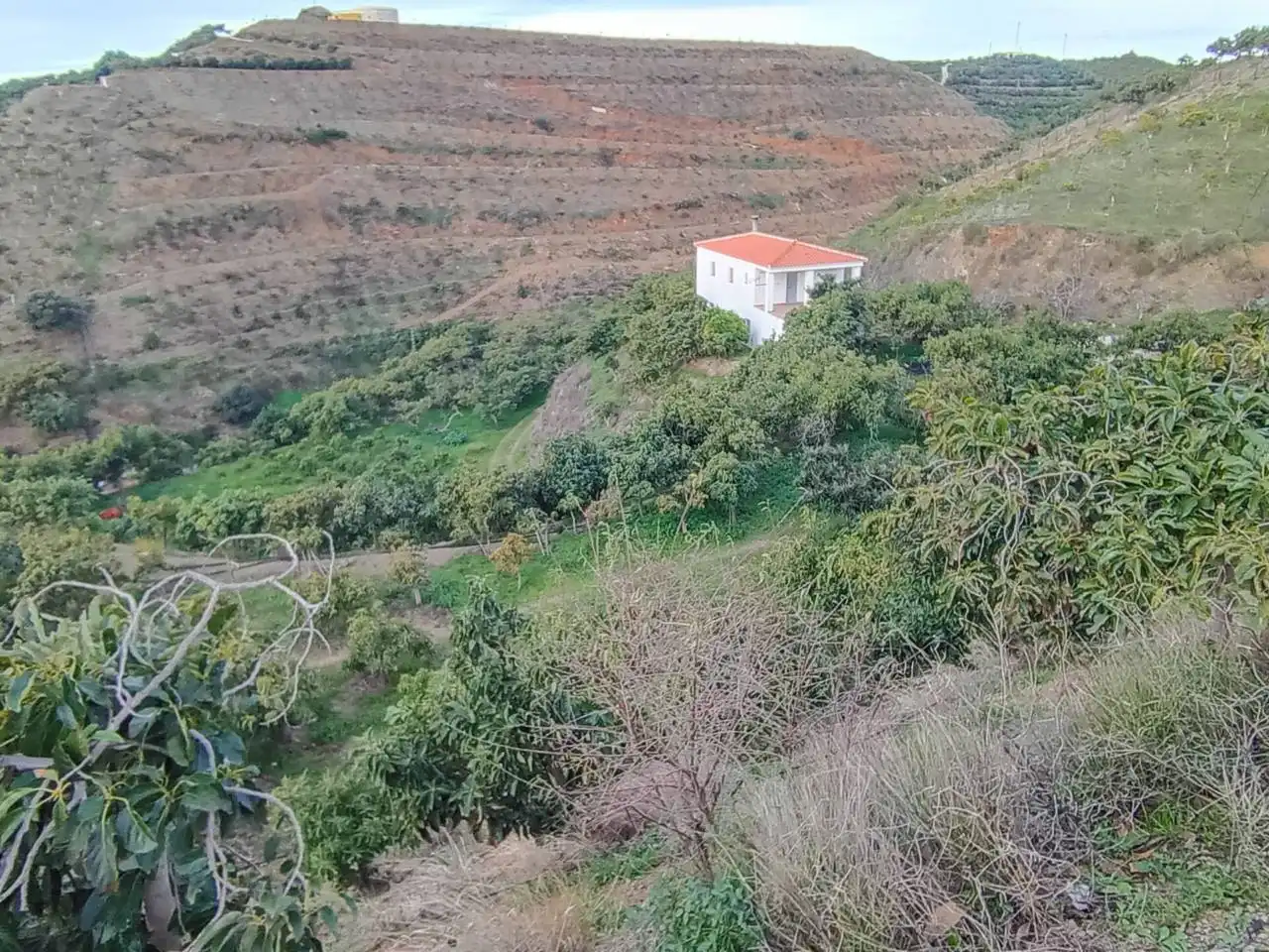 Terreni e lotti in vendita a Calle paraje, imagen 17