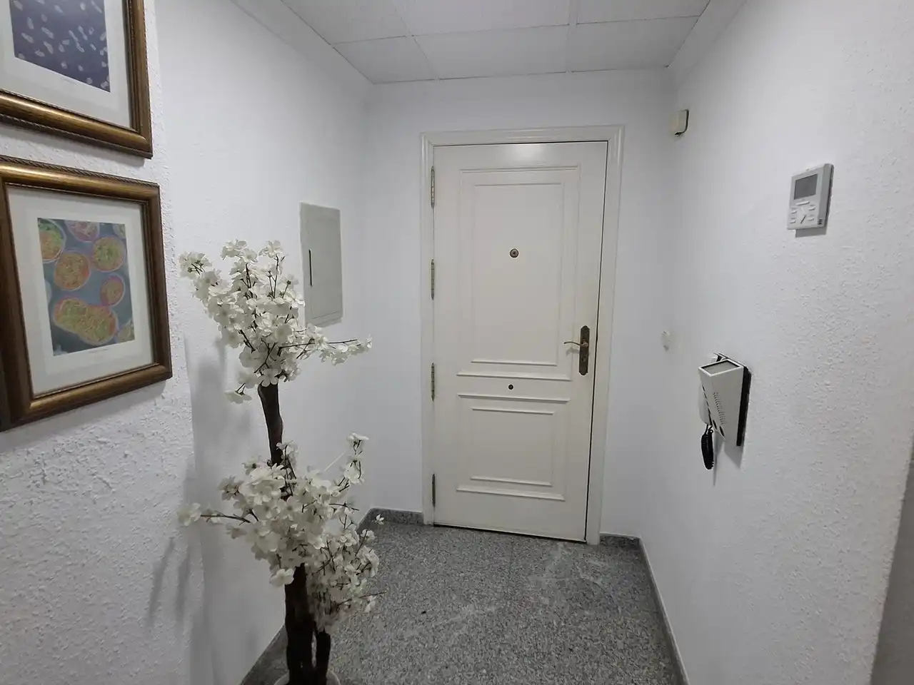 Gewerbefläche zum Verkauf in Puerto de Garrucha, imagen 3