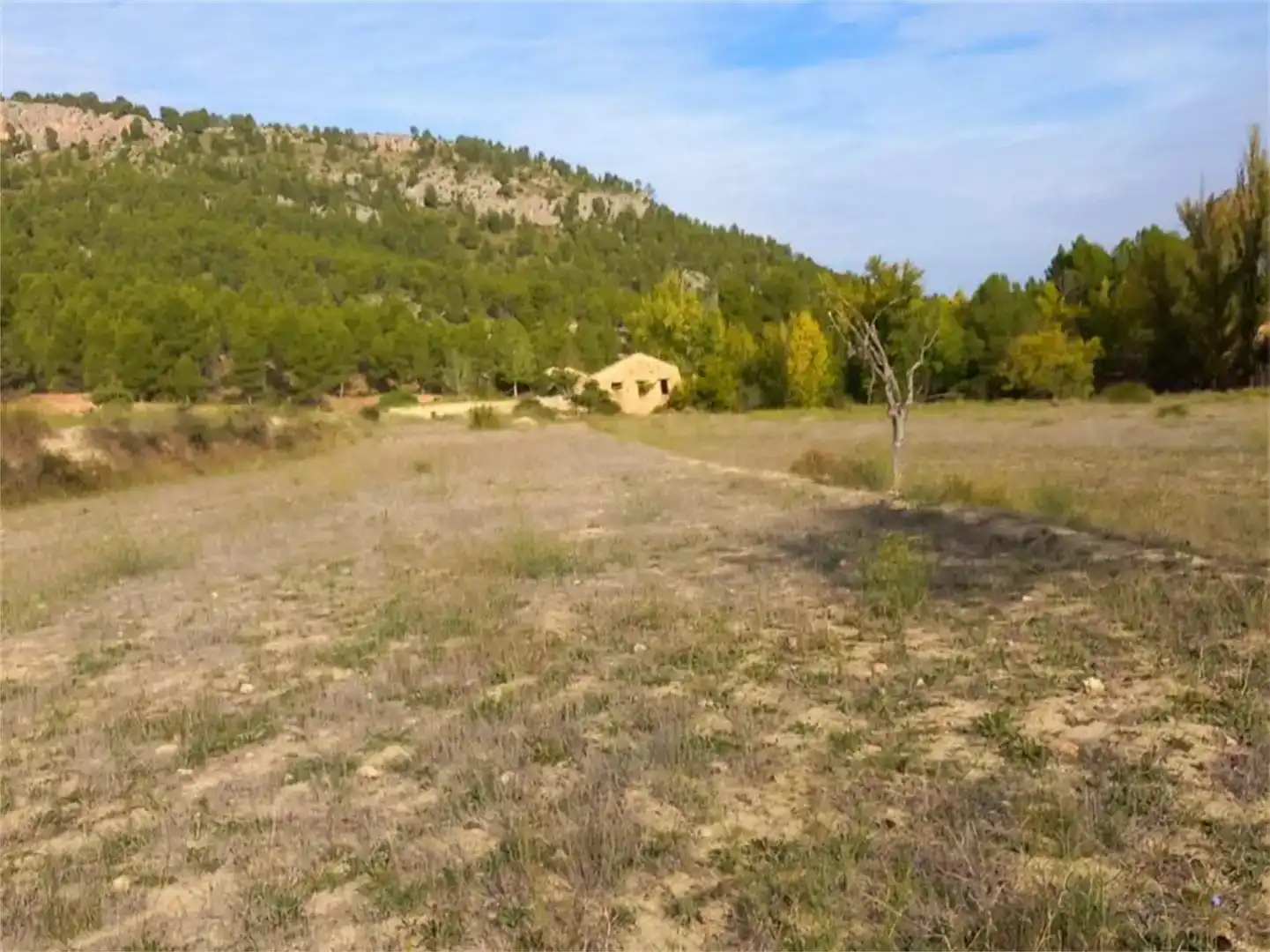 Terreno en venta en Letur