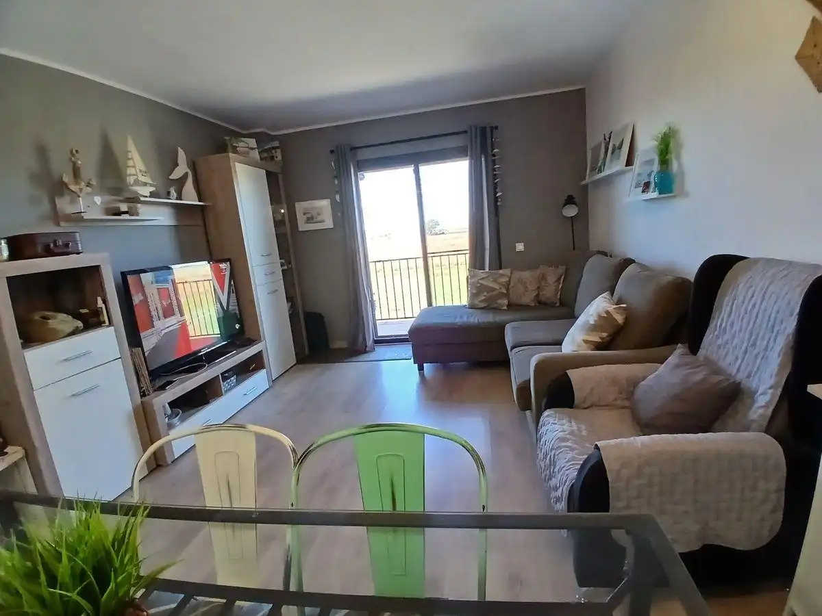 Sala d'estar de Apartament en venda en Sant Jaume d'Enveja amb Moblat, Balcó i Piscina comunitària
