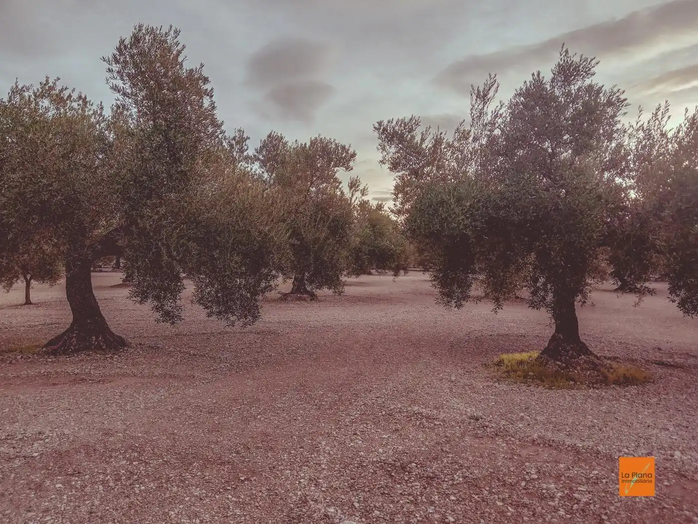 Finca rústica en venta en Santa Bàrbara