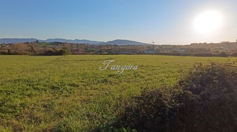 Preciosa parcela de terreno de 5.250 m² no urbanizable en Getxo., imatge 4