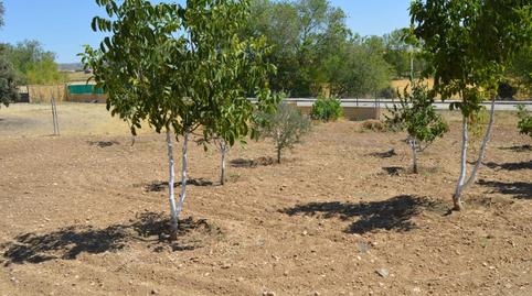 Foto 5 de Casa o chalet en venta en N/a, Villar de Cañas, Cuenca