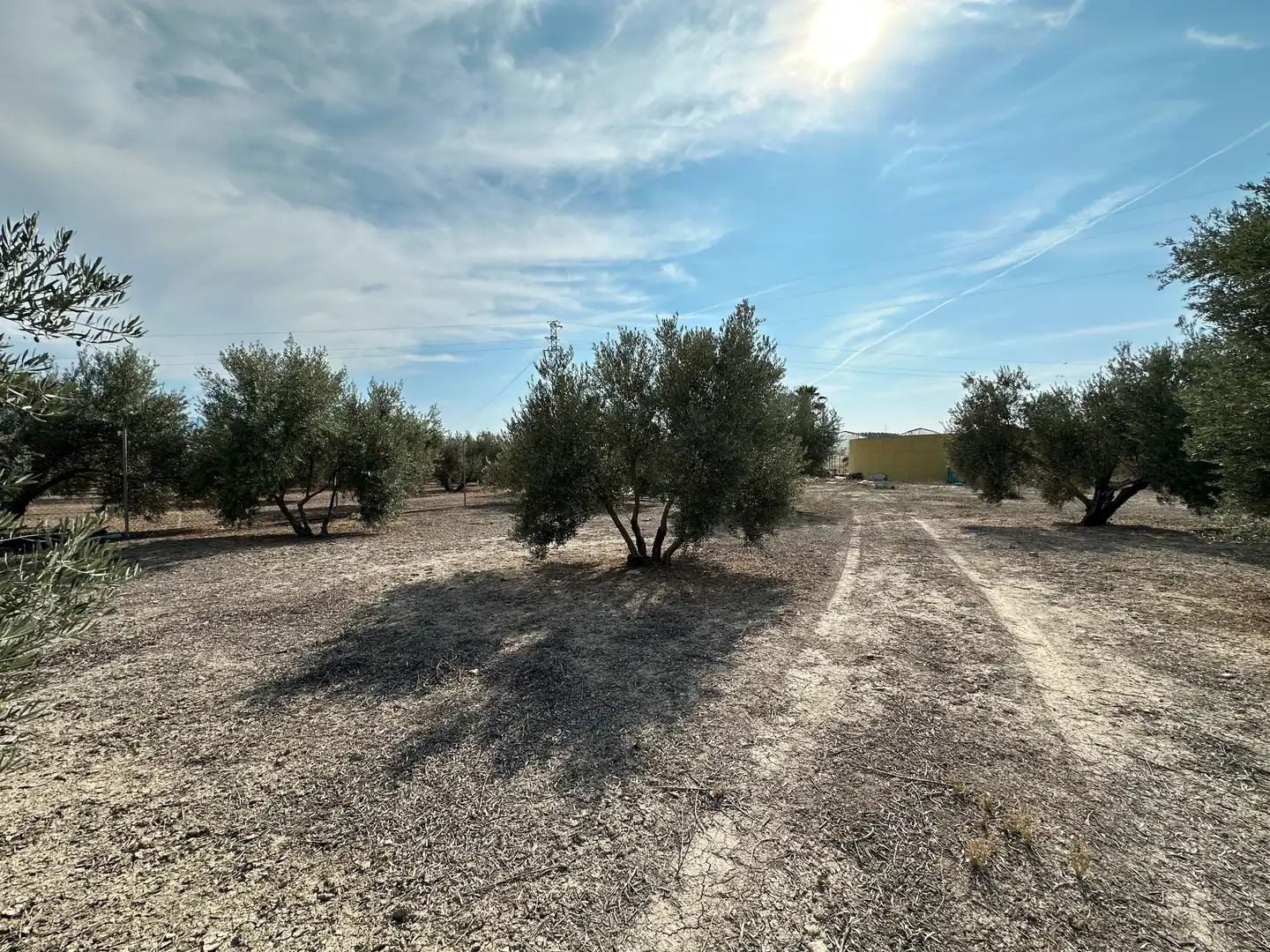 Terrenos y solares en venta en Úbeda, imagen 5