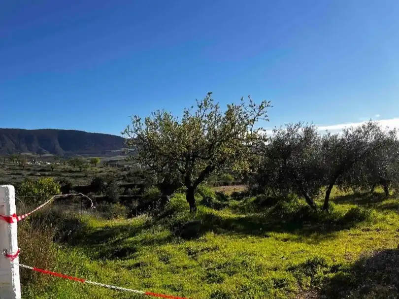 Land for sale in Gójar
