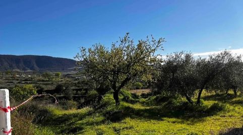Foto 4 de Terreno en venta en Camino de la Gayomba, 18150, Gójar, Granada