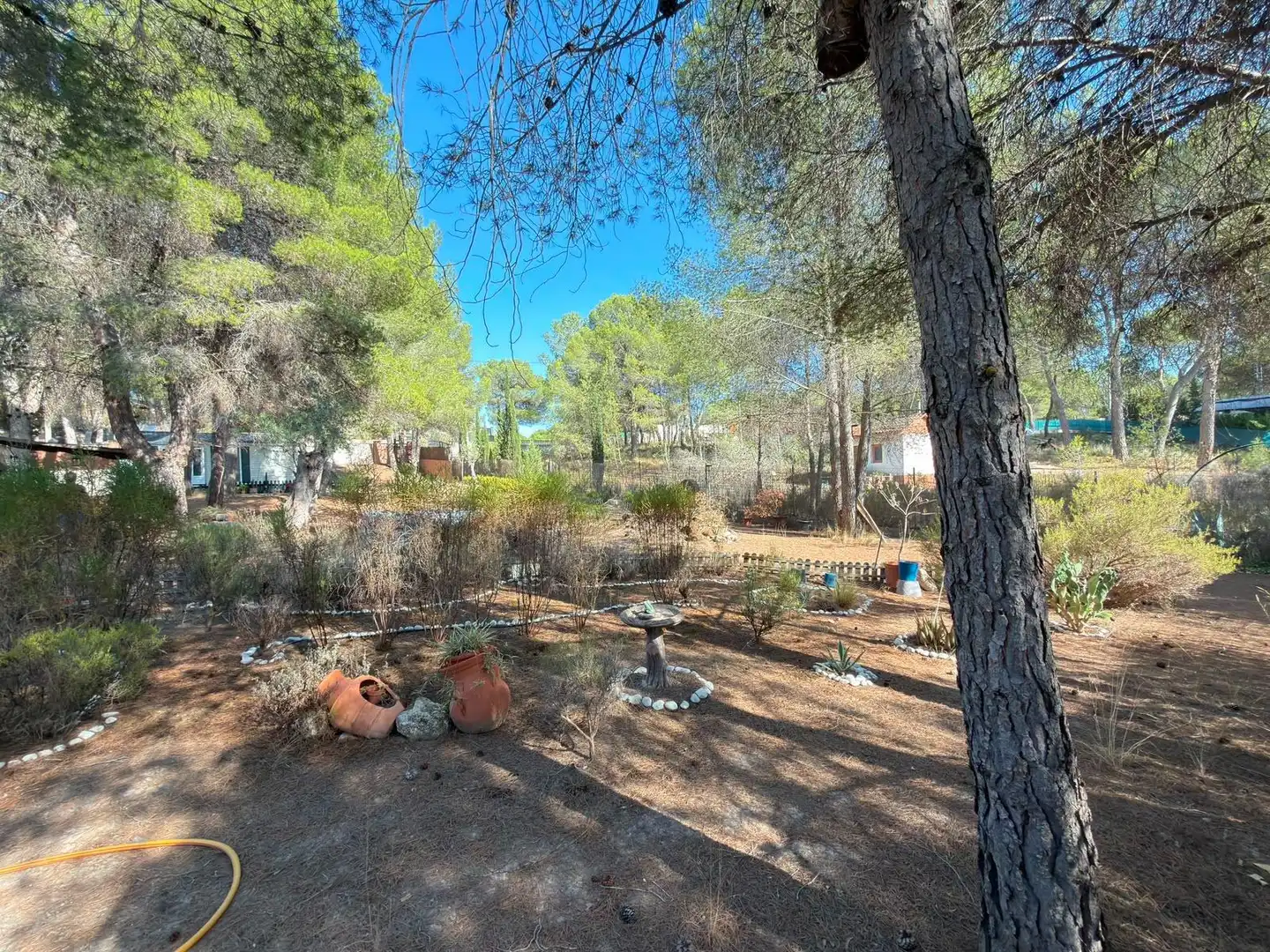 Garden of Country homes for sale in Tibi
