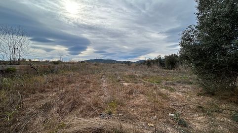 Foto 2 von Grundstücke zur Miete in Benaguasil, Valencia