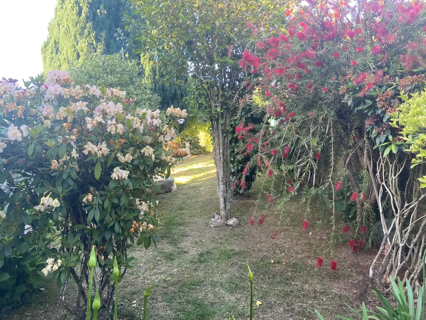 Garden of Houses for sale in Silleda  with Storage room